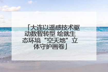 大连以遥感技术驱动数智转型 绘就生态环境“空天地”立体守护画卷