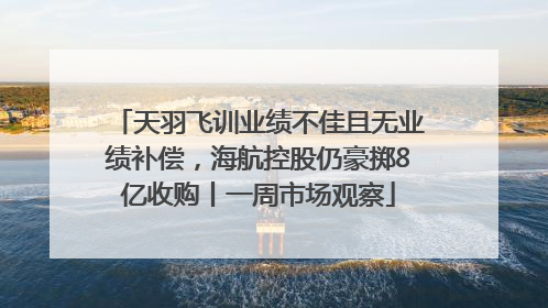 天羽飞训业绩不佳且无业绩补偿，海航控股仍豪掷8亿收购丨一周市场观察