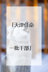 天津任命一批干部