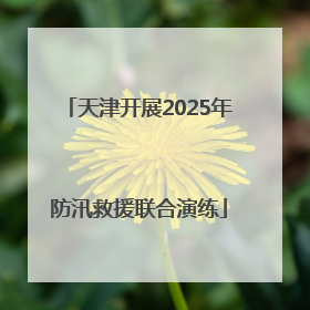 天津开展2025年防汛救援联合演练