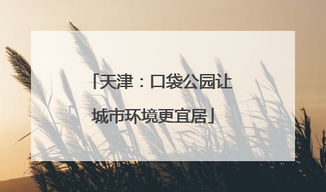 天津：口袋公园让城市环境更宜居