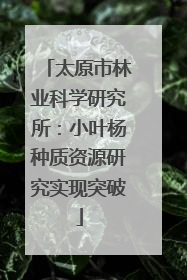 太原市林业科学研究所：小叶杨种质资源研究实现突破