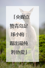 央媒点赞青岛足球小将：踢出最纯粹热爱