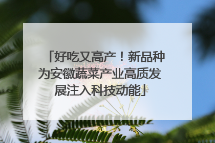 好吃又高产！新品种为安徽蔬菜产业高质发展注入科技动能