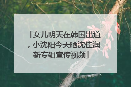 女儿明天在韩国出道，小沈阳今天晒沈佳润新专辑宣传视频