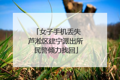 女子手机丢失 芦淞区建宁派出所民警倾力找回