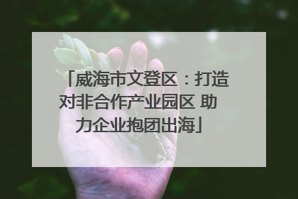 威海市文登区：打造对非合作产业园区 助力企业抱团出海