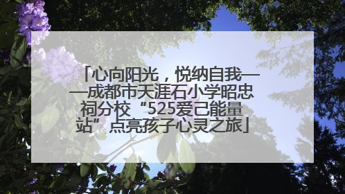 心向阳光，悦纳自我——成都市天涯石小学昭忠祠分校“525爱己能量站”点亮孩子心灵之旅
