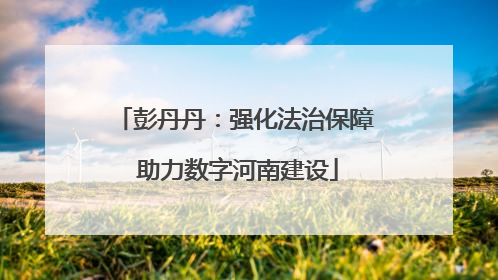 彭丹丹：强化法治保障 助力数字河南建设