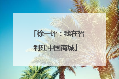 徐一评：我在智利建中国商城