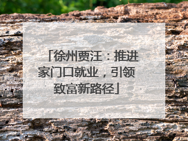 徐州贾汪：推进家门口就业，引领致富新路径
