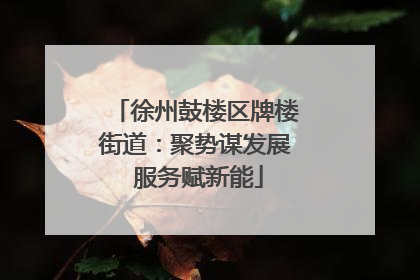 徐州鼓楼区牌楼街道：聚势谋发展 服务赋新能