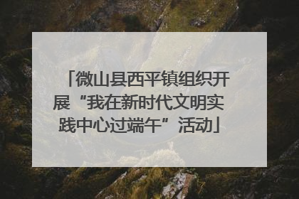 微山县西平镇组织开展“我在新时代文明实践中心过端午”活动