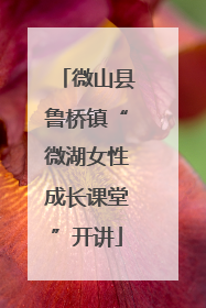微山县鲁桥镇“微湖女性成长课堂”开讲