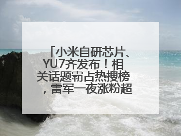 小米自研芯片、YU7齐发布！相关话题霸占热搜榜，雷军一夜涨粉超20万