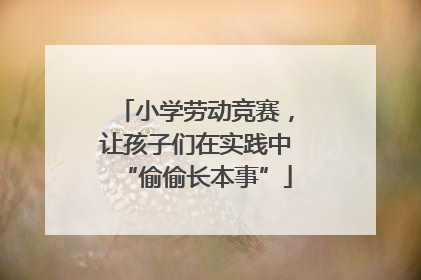 小学劳动竞赛，让孩子们在实践中“偷偷长本事”