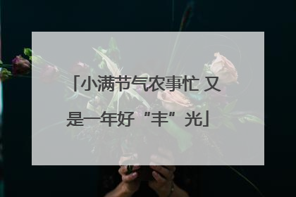 小满节气农事忙 又是一年好“丰”光