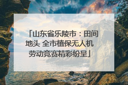山东省乐陵市：田间地头 全市植保无人机劳动竞赛精彩纷呈