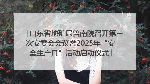 山东省地矿局鲁南院召开第三次安委会会议暨2025年“安全生产月”活动启动仪式