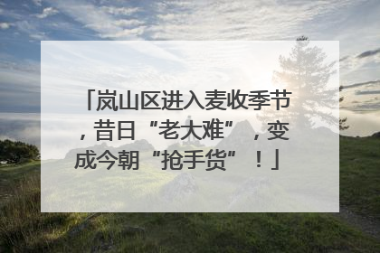 岚山区进入麦收季节，昔日“老大难”，变成今朝“抢手货”！