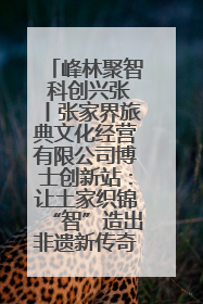 峰林聚智 科创兴张丨张家界旅典文化经营有限公司博士创新站：让土家织锦“智”造出非遗新传奇
