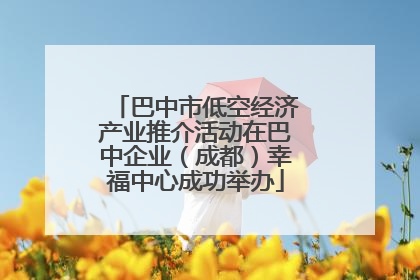 巴中市低空经济产业推介活动在巴中企业（成都）幸福中心成功举办
