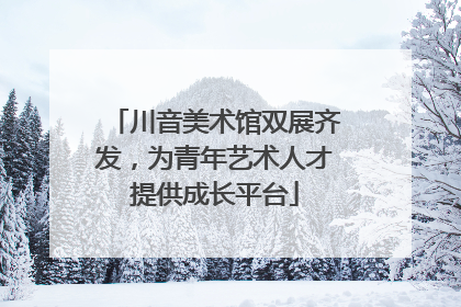 川音美术馆双展齐发，为青年艺术人才提供成长平台