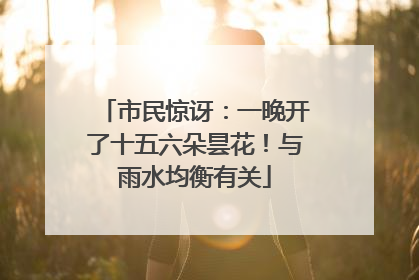 市民惊讶：一晚开了十五六朵昙花！与雨水均衡有关