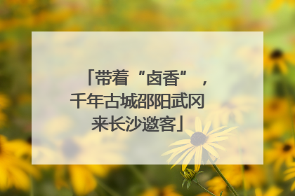 带着“卤香”，千年古城邵阳武冈来长沙邀客