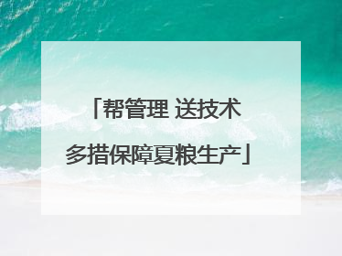 帮管理 送技术 多措保障夏粮生产