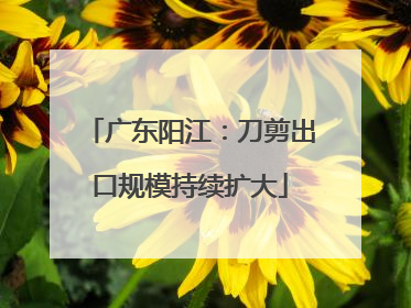 广东阳江：刀剪出口规模持续扩大