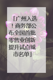 广州入选！商务部公布全国首批零售业创新提升试点城市名单