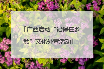 广西启动“记得住乡愁”文化外宣活动