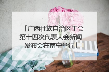 广西壮族自治区工会第十四次代表大会新闻发布会在南宁举行