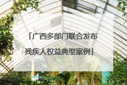 广西多部门联合发布残疾人权益典型案例