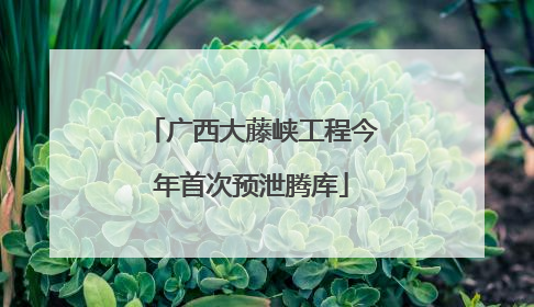 广西大藤峡工程今年首次预泄腾库
