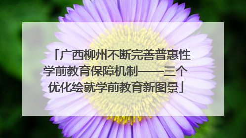广西柳州不断完善普惠性学前教育保障机制——三个优化绘就学前教育新图景