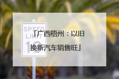 广西梧州：以旧换新汽车销售旺