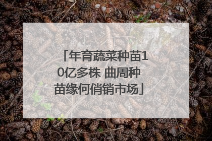 年育蔬菜种苗10亿多株 曲周种苗缘何俏销市场
