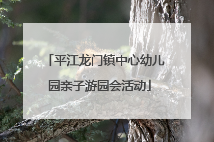 平江龙门镇中心幼儿园亲子游园会活动
