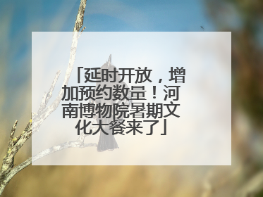 延时开放，增加预约数量！河南博物院暑期文化大餐来了