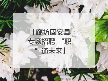 廊坊固安县：专场招聘 “职”通未来