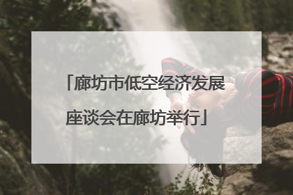 廊坊市低空经济发展座谈会在廊坊举行