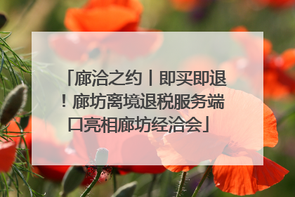 廊洽之约丨即买即退！廊坊离境退税服务端口亮相廊坊经洽会