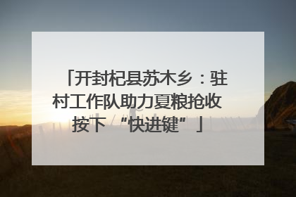 开封杞县苏木乡：驻村工作队助力夏粮抢收按下 “快进键”
