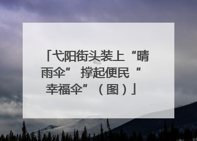 弋阳街头装上“晴雨伞” 撑起便民“幸福伞”（图）