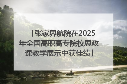 张家界航院在2025年全国高职高专院校思政课教学展示中获佳绩