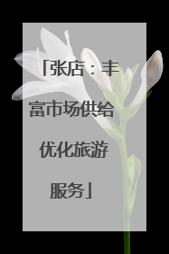 张店：丰富市场供给 优化旅游服务