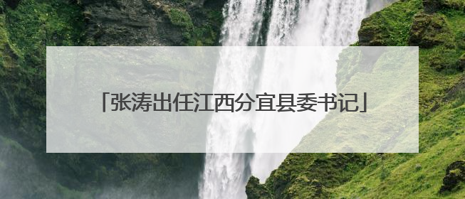 张涛出任江西分宜县委书记