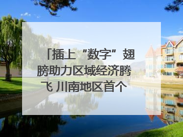 插上“数字”翅膀助力区域经济腾飞 川南地区首个智算中心启动